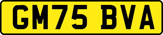 GM75BVA