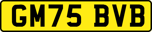GM75BVB
