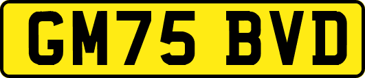 GM75BVD