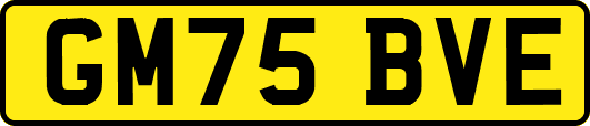 GM75BVE
