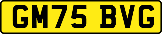 GM75BVG
