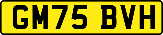 GM75BVH