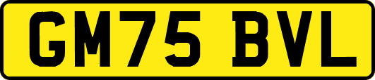 GM75BVL
