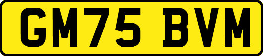 GM75BVM