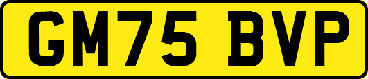 GM75BVP