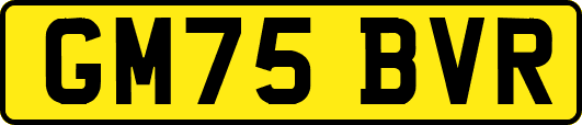 GM75BVR