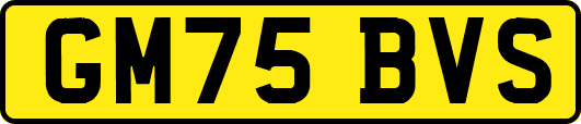 GM75BVS