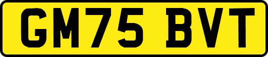 GM75BVT
