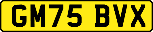 GM75BVX
