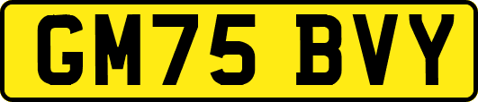 GM75BVY