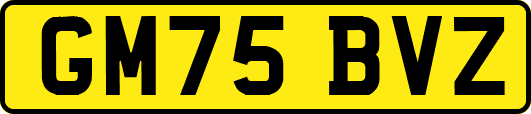 GM75BVZ