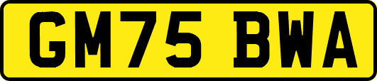 GM75BWA