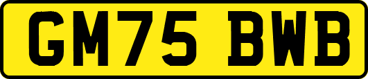 GM75BWB