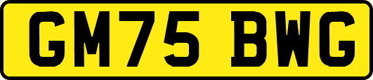 GM75BWG