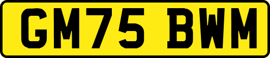 GM75BWM