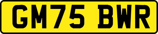GM75BWR