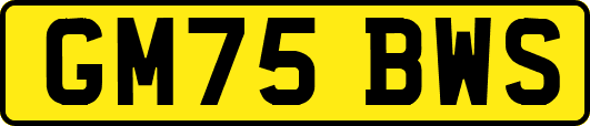 GM75BWS