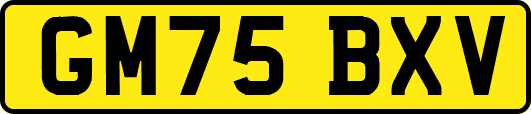 GM75BXV