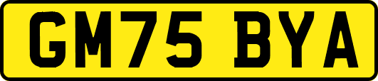 GM75BYA
