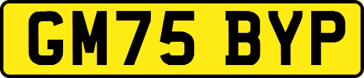GM75BYP