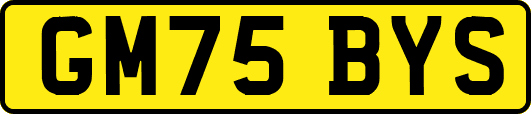 GM75BYS