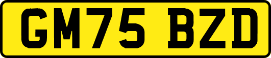 GM75BZD