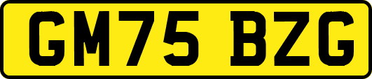 GM75BZG