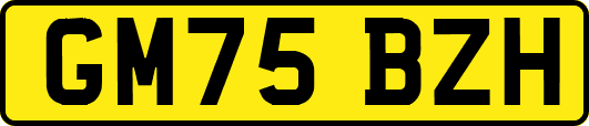 GM75BZH