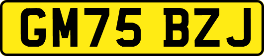 GM75BZJ