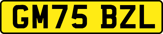 GM75BZL