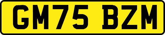 GM75BZM