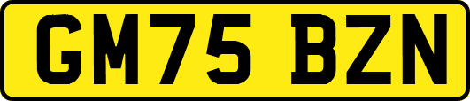GM75BZN