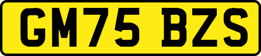 GM75BZS