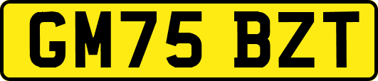 GM75BZT