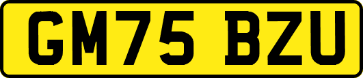 GM75BZU