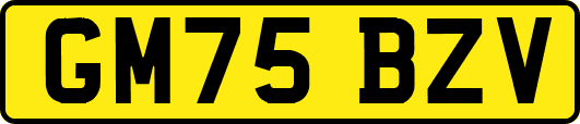 GM75BZV