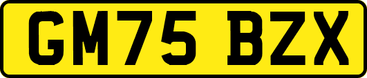 GM75BZX
