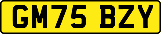 GM75BZY