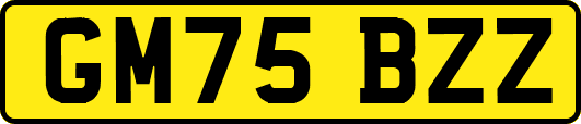 GM75BZZ