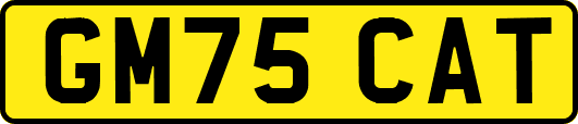 GM75CAT