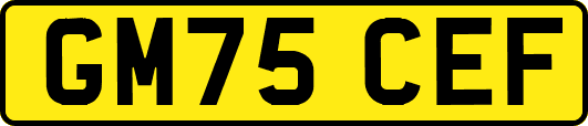 GM75CEF