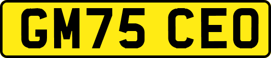 GM75CEO