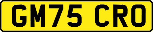 GM75CRO