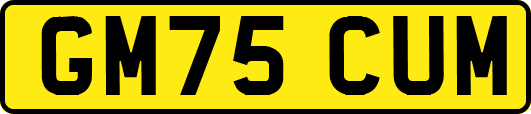 GM75CUM