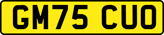 GM75CUO