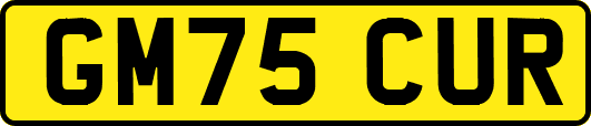 GM75CUR