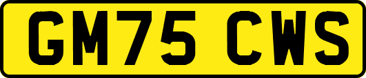 GM75CWS
