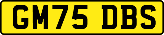 GM75DBS