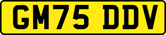 GM75DDV
