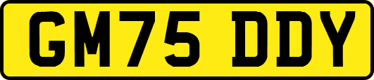 GM75DDY